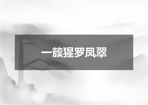 一簇猩罗凤翠
