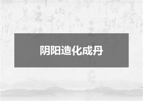 阴阳造化成丹