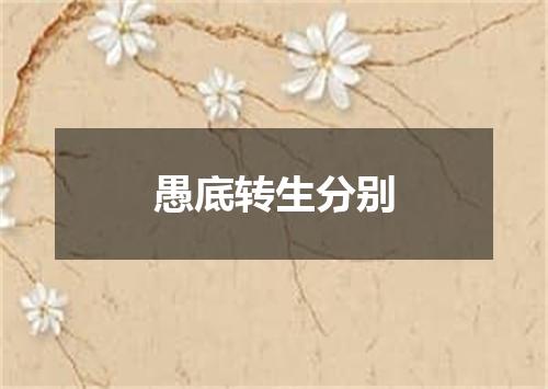 愚底转生分别