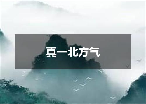 真一北方气