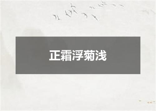 正霜浮菊浅