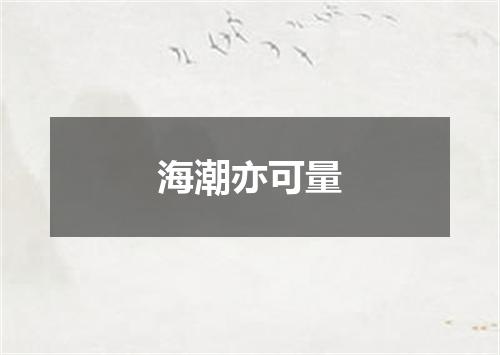 海潮亦可量