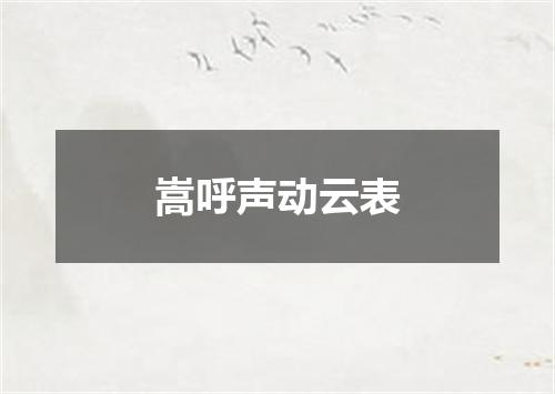嵩呼声动云表