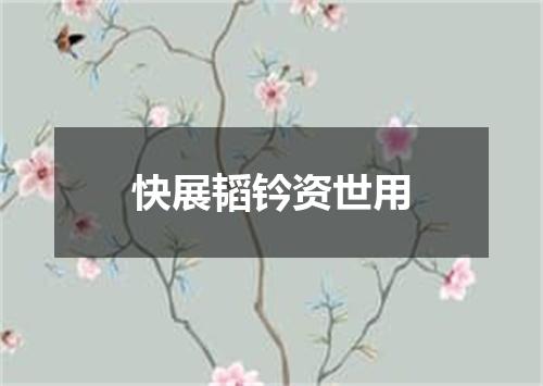 快展韬钤资世用