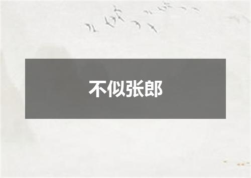 不似张郎