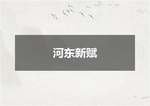 河东新赋