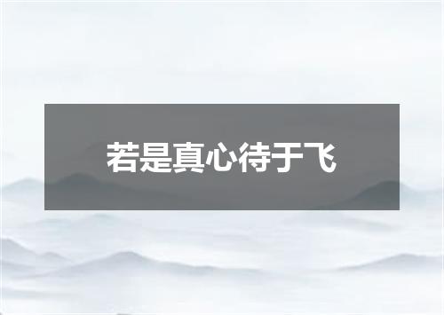 若是真心待于飞