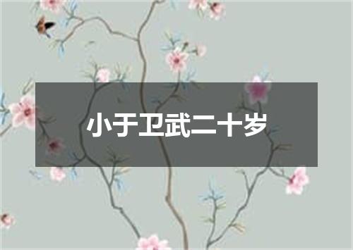小于卫武二十岁