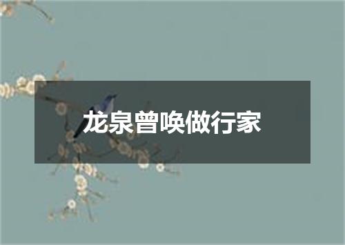 龙泉曾唤做行家