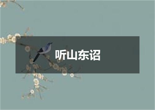 听山东诏