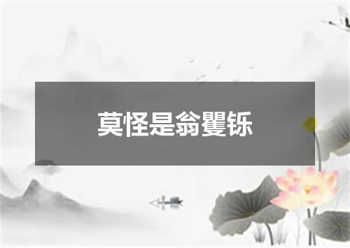 莫怪是翁矍铄