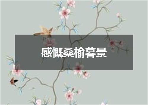 感慨桑榆暮景
