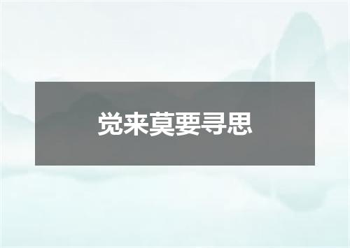 觉来莫要寻思