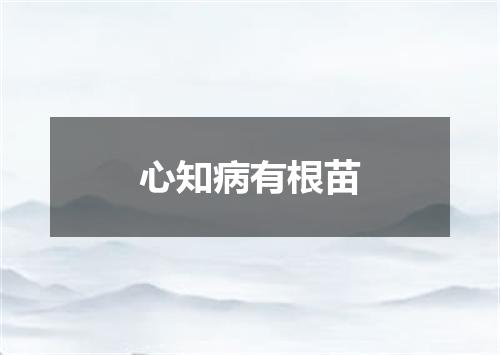 心知病有根苗