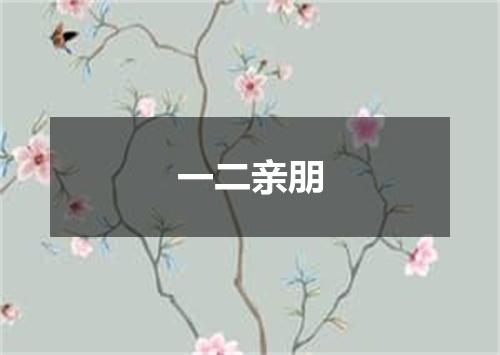 一二亲朋