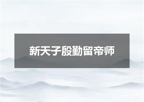 新天子殷勤留帝师