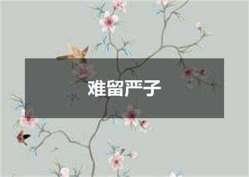 难留严子