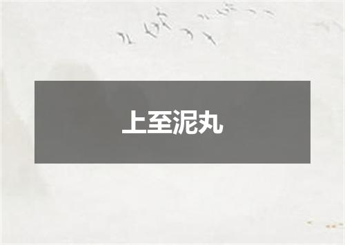 上至泥丸