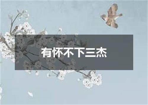 有怀不下三杰