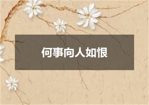 何事向人如恨