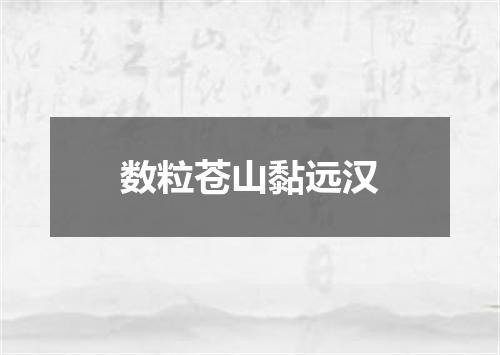 数粒苍山黏远汉