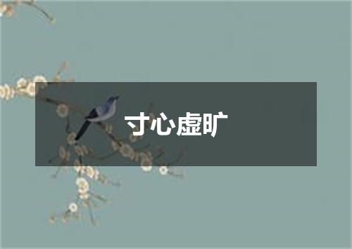 寸心虚旷