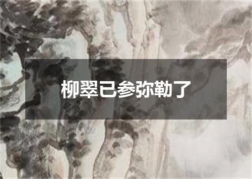 柳翠已参弥勒了