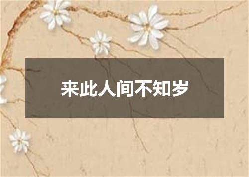 来此人间不知岁