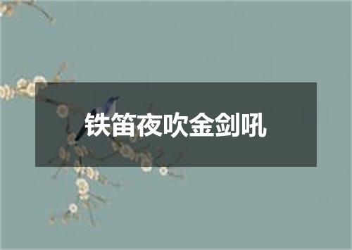 铁笛夜吹金剑吼