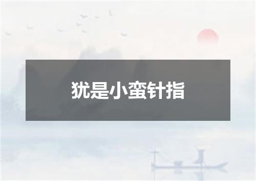 犹是小蛮针指