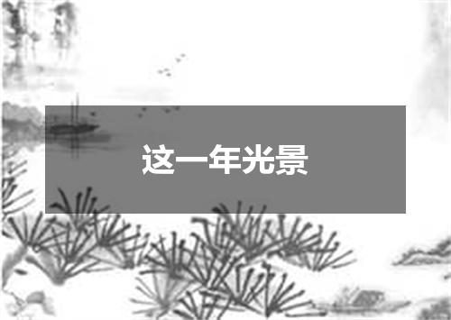 这一年光景