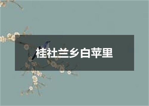 桂社兰乡白苹里