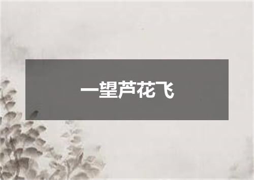 一望芦花飞