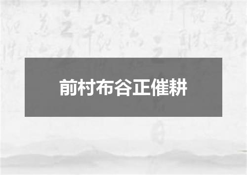 前村布谷正催耕