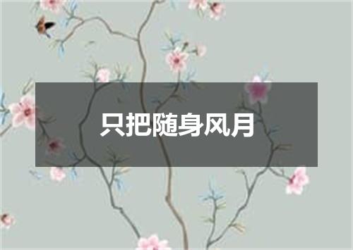 只把随身风月