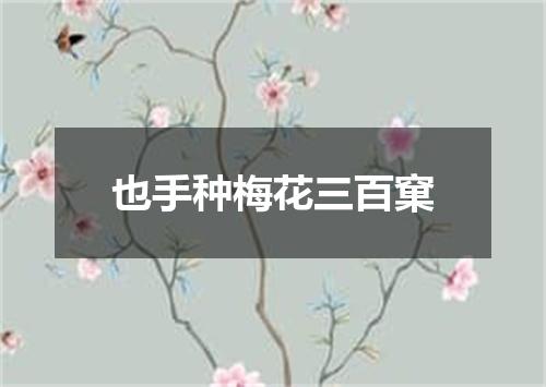 也手种梅花三百窠