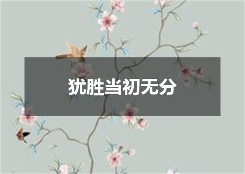 犹胜当初无分