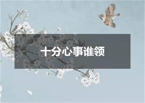 十分心事谁领