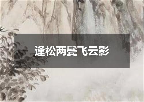 逢松两鬓飞云影