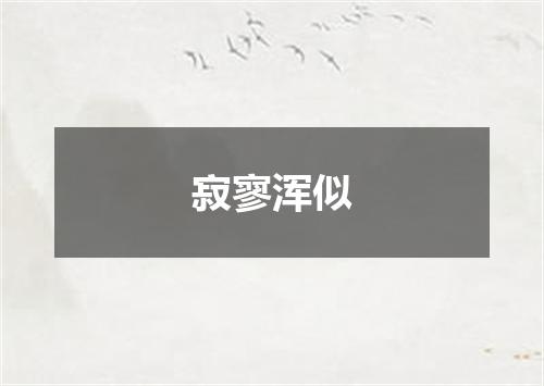 寂寥浑似