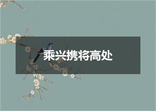 乘兴携将高处