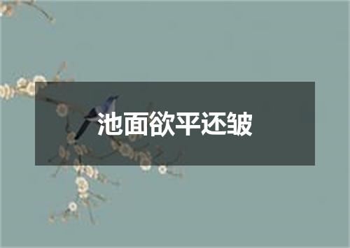 池面欲平还皱