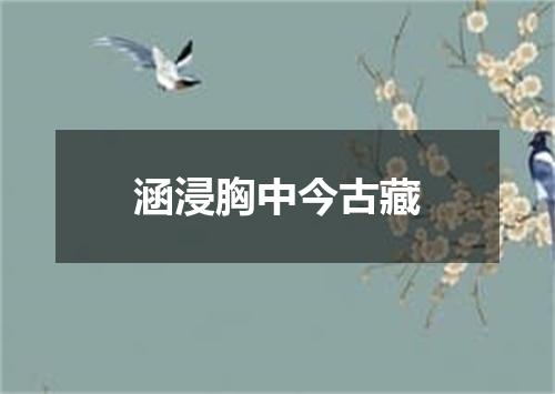 涵浸胸中今古藏