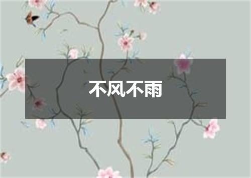 不风不雨