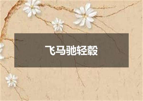 飞马驰轻毂