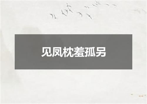 见凤枕羞孤另