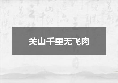 关山千里无飞肉