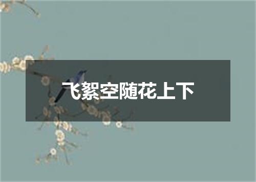飞絮空随花上下