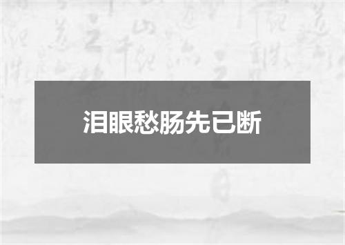 泪眼愁肠先已断