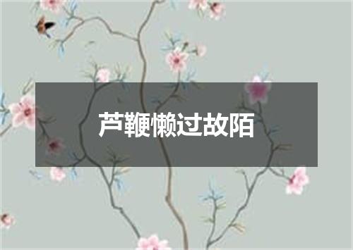 芦鞭懒过故陌